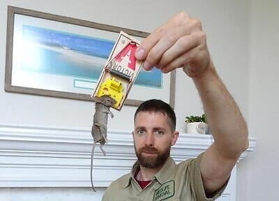 Trenton pest control